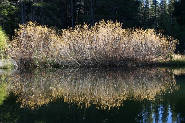 Photo by Russell Bittner