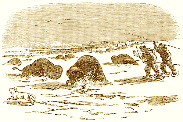 Image courtesy of the British Library Photostream