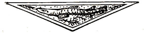 Image courtesty of the British Library's Photostream
