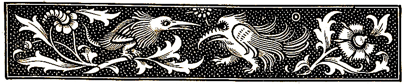 Image courtesty of the British Library's Photostream