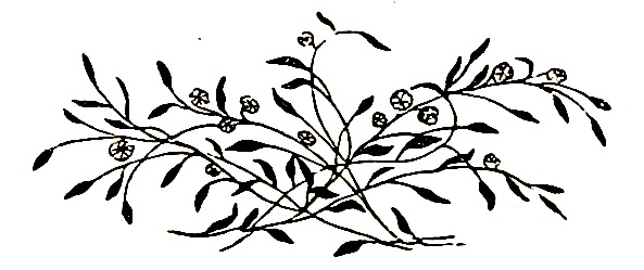 Image courtesy of the British Library's Photostream