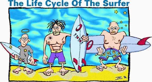 Life Cycle of the Surfer