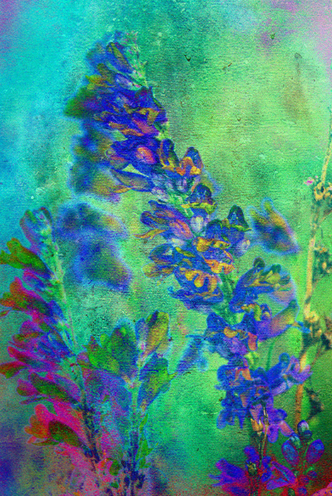 Photographic Artwork by Victoria Mlady