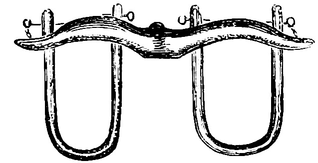 Image courtesy of the British Library Online Photo Collection