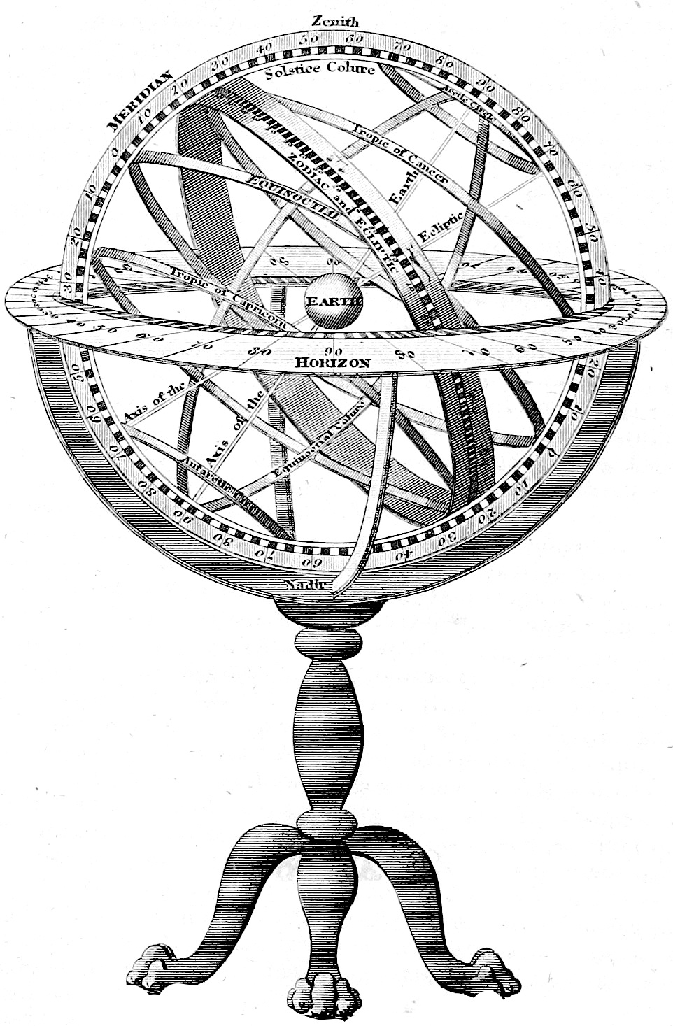 Image courtesy of the British Library Online Photo Collection